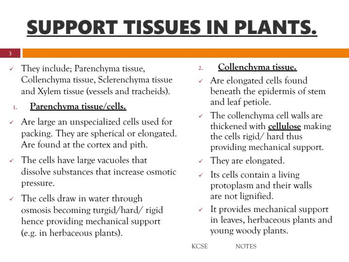 KCSE-Comprehensive-Biology-Notes-Support-and-Movement-in-Plants-and-Animals_14176_2.jpg