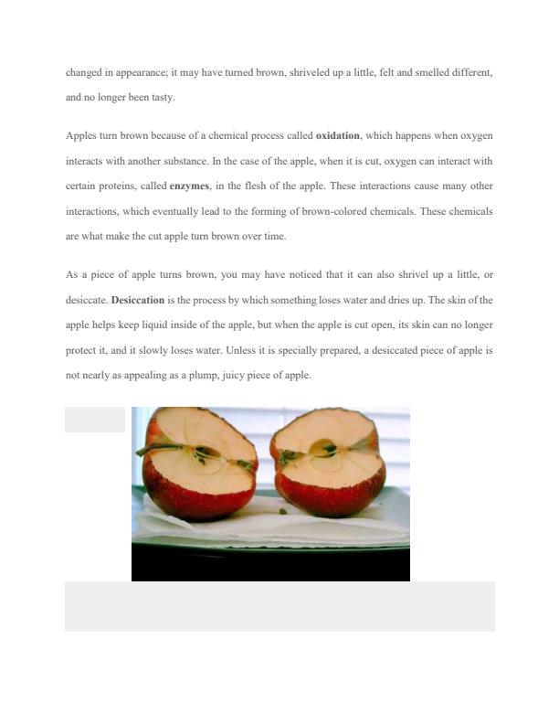 Page 3 – KSEF Sample Food Technology Project: Food Wrapping – Kenyaplex
