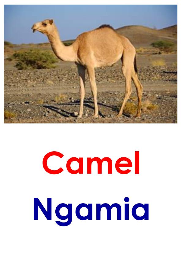 Page 1 – Lower Primary Picture Aids: Domestic Animals – Kenyaplex