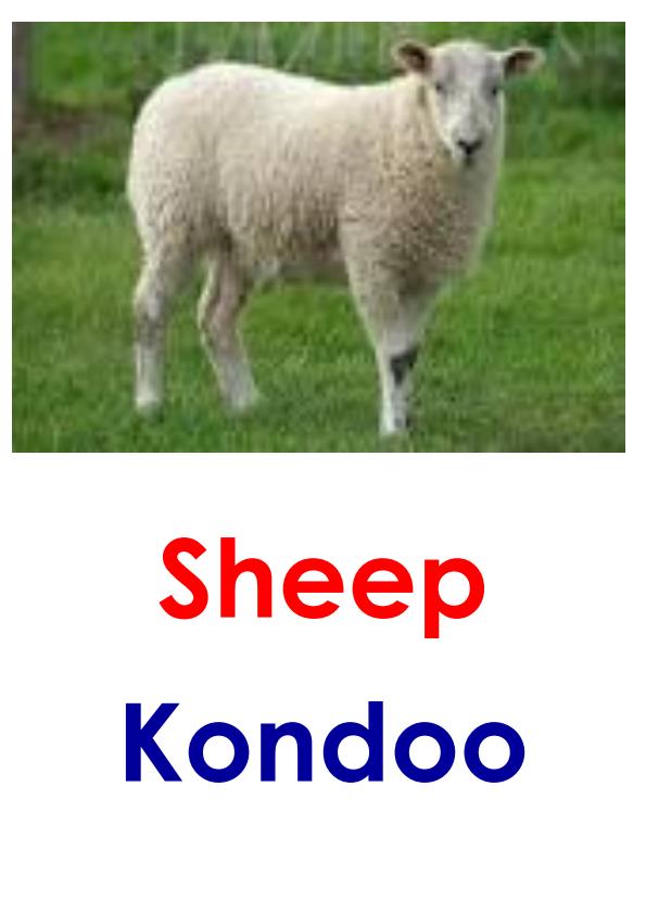 Page 2 – Lower Primary Picture Aids: Domestic Animals – Kenyaplex