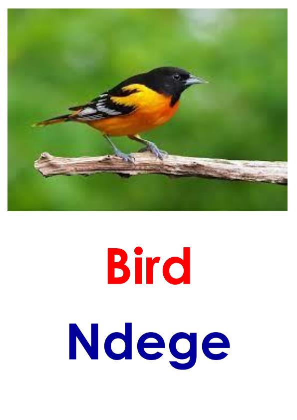 Page 2 – Lower Primary Picture Aids: Look and Say – Kenyaplex