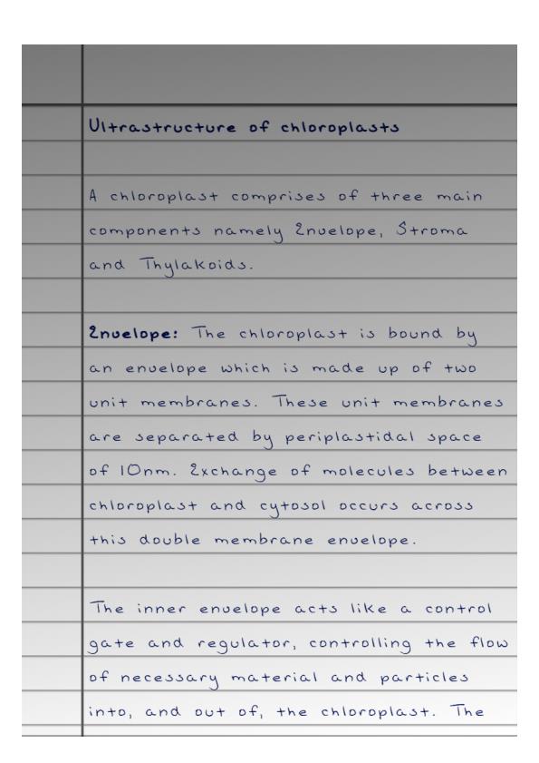 Page 1 – MIC 414: Molecular Genetics Notes on Ultrastructure of Chloroplasts – Kenyaplex