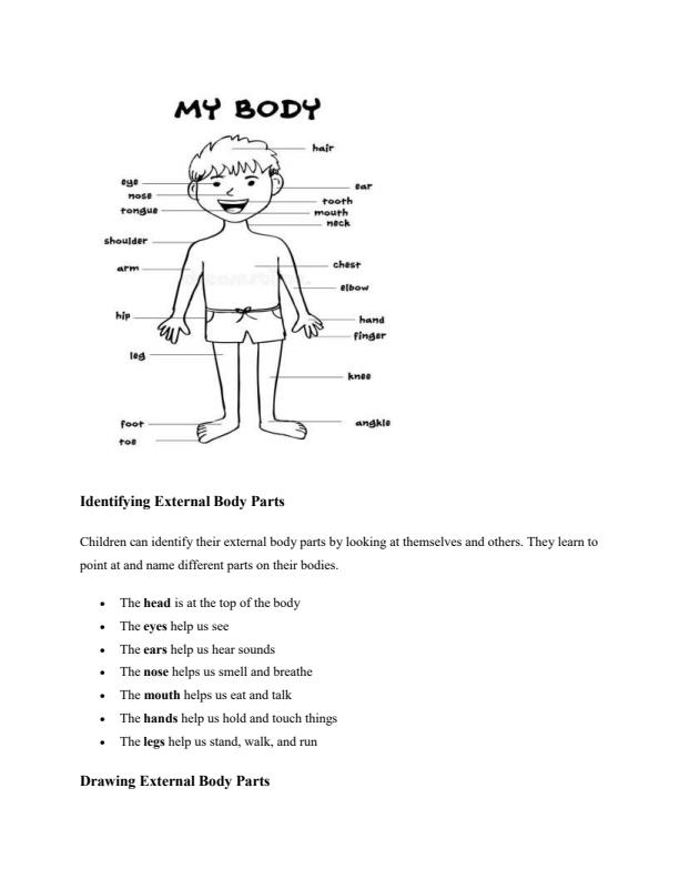 Page 3 – PP2 Environmental Activities Notes Term 1 – Kenyaplex