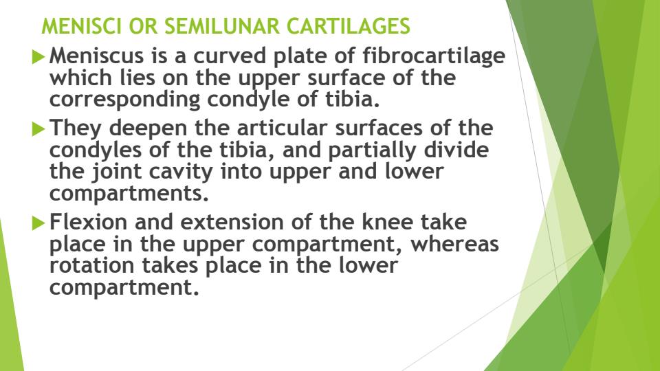 Page 2 – Quick Notes to Master Menisci and Cruciate Ligaments in Seconds – Kenyaplex