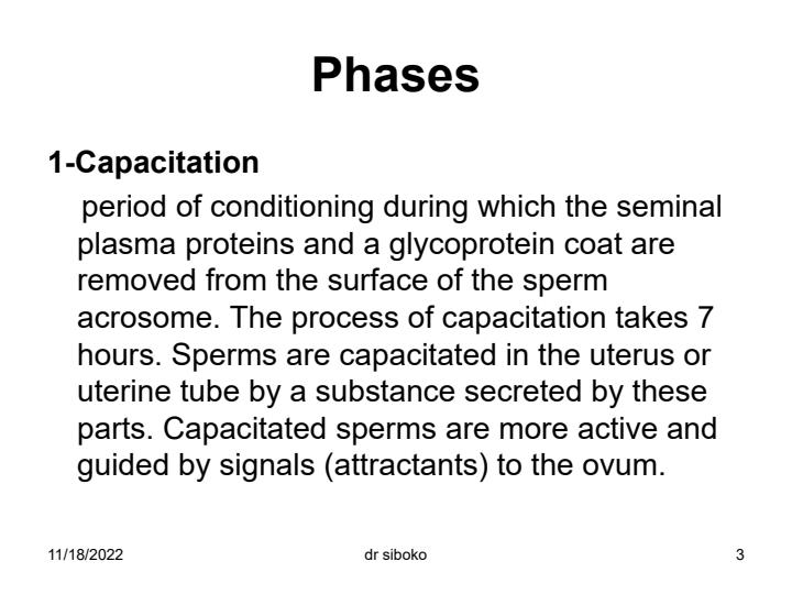 Page 2 – Human Fertilization Notes – Kenyaplex