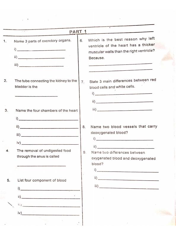 Page 2 – Upper Primary Science Topical Structured Revision Questions Only – Kenyaplex