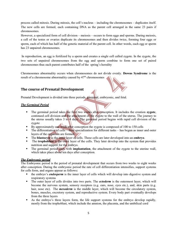 Page 4 – Life Span Development Notes – Kenyaplex