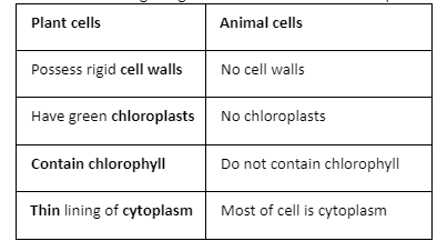 Differentiate between a plant and an animal cell