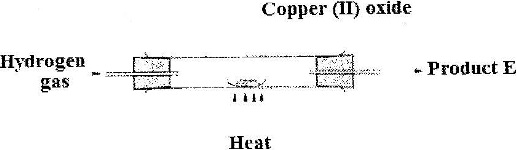 copper4720178520001.jpg