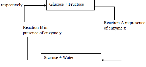 fructose.png