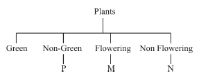 plants104410162017.png
