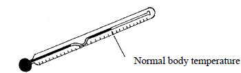 thermometer2019233.png